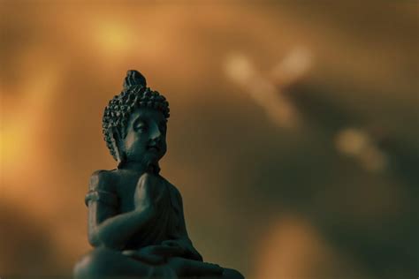 The Healing Power of Vity Kush: Balancing Mind, Body, and Spirit